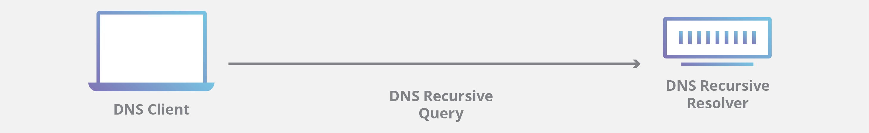 DNS 查询图